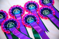 South Scotland Thistle Awards 2025