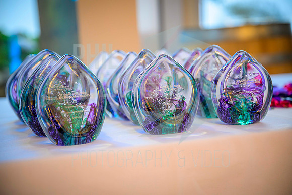 South Scotland Thistle Awards 2025