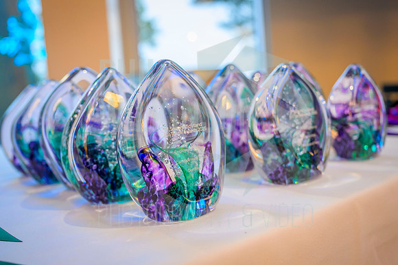 South Scotland Thistle Awards 2025