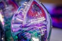 South Scotland Thistle Awards 2025