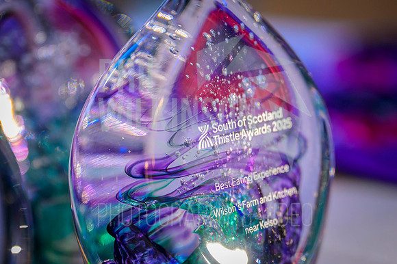 South Scotland Thistle Awards 2025