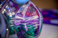 South Scotland Thistle Awards 2025