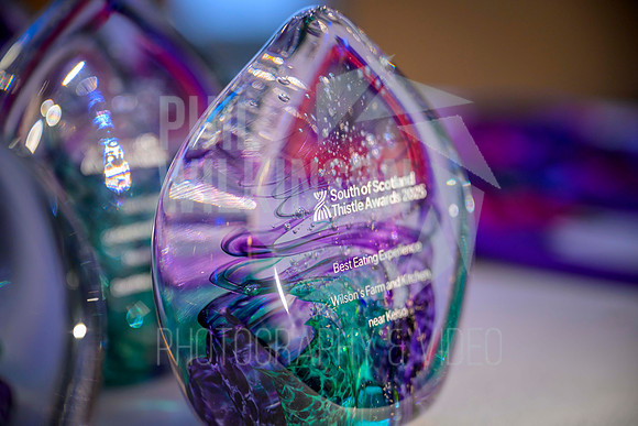 South Scotland Thistle Awards 2025