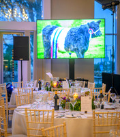 South Scotland Thistle Awards 2025