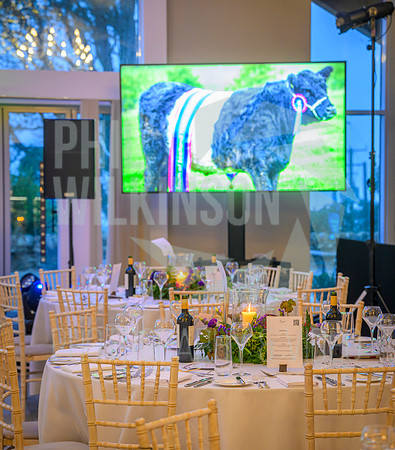 South Scotland Thistle Awards 2025