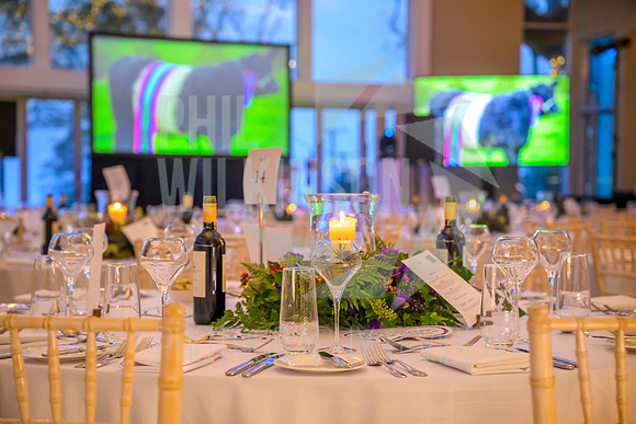 South Scotland Thistle Awards 2025
