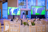 South Scotland Thistle Awards 2025