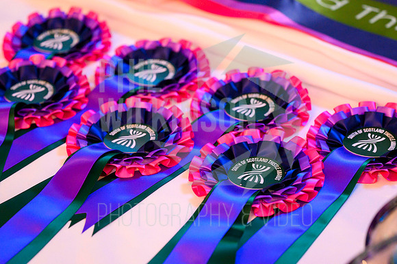 South Scotland Thistle Awards 2025