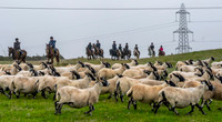 Lauder Common Riding, Apprentice ride