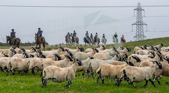 Lauder Common Riding, Apprentice ride