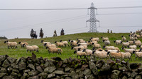 Lauder Common Riding, Apprentice ride