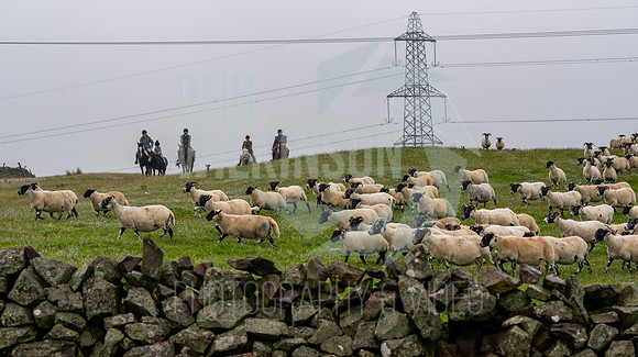Lauder Common Riding, Apprentice ride