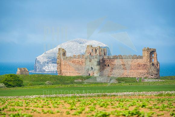 Tantallon Castle, Bass Rock, UK , Scotland ,