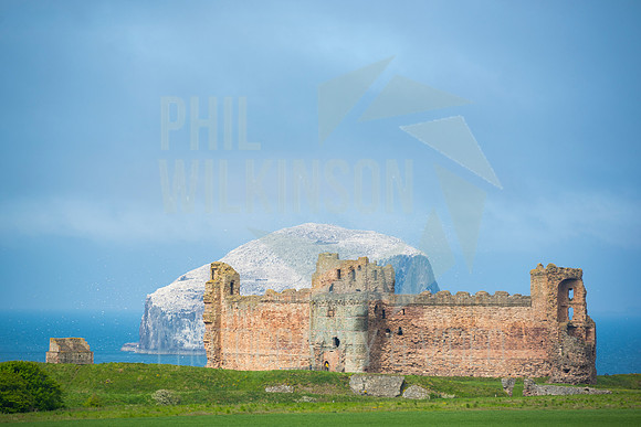 Tantallon Castle, Bass Rock, UK , Scotland ,