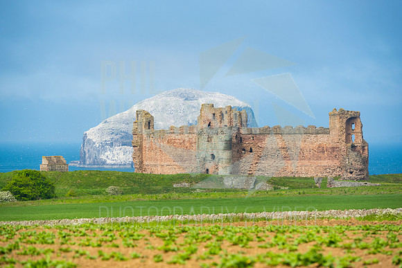 Tantallon Castle, Bass Rock, UK , Scotland ,
