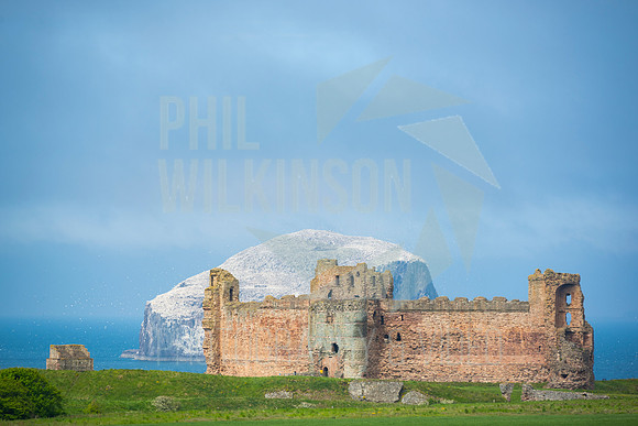 Tantallon Castle, Bass Rock, UK , Scotland ,