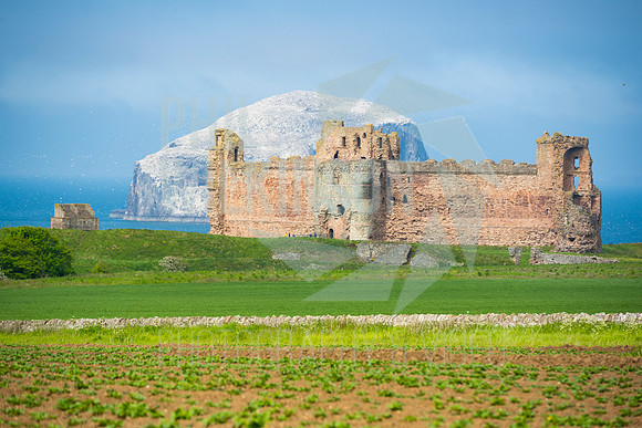 Tantallon Castle, Bass Rock, UK , Scotland ,