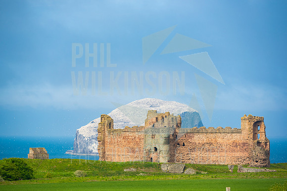 Tantallon Castle, Bass Rock, UK , Scotland ,