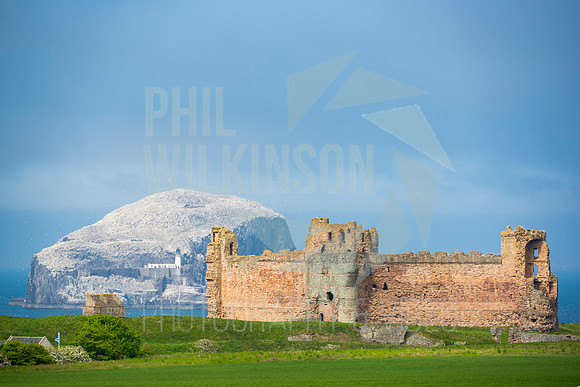 Tantallon Castle, Bass Rock, UK , Scotland ,