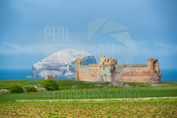 Tantallon Castle, Bass Rock, UK , Scotland ,