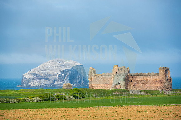 Tantallon Castle, Bass Rock, UK , Scotland ,