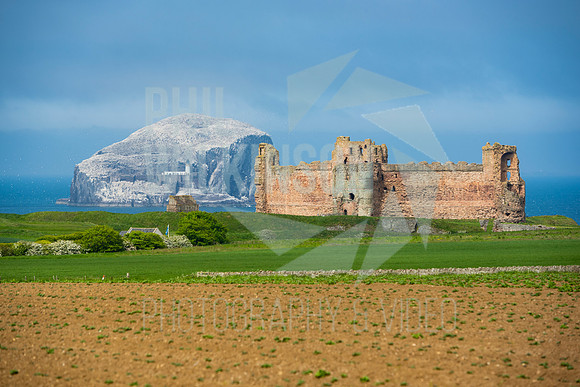Tantallon Castle, Bass Rock, UK , Scotland ,