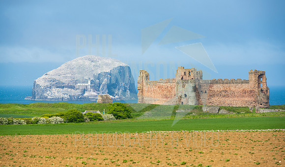 Tantallon Castle, Bass Rock, UK , Scotland ,