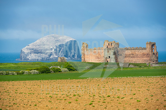 Tantallon Castle, Bass Rock, UK , Scotland ,