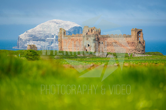 Tantallon Castle, Bass Rock, UK , Scotland ,
