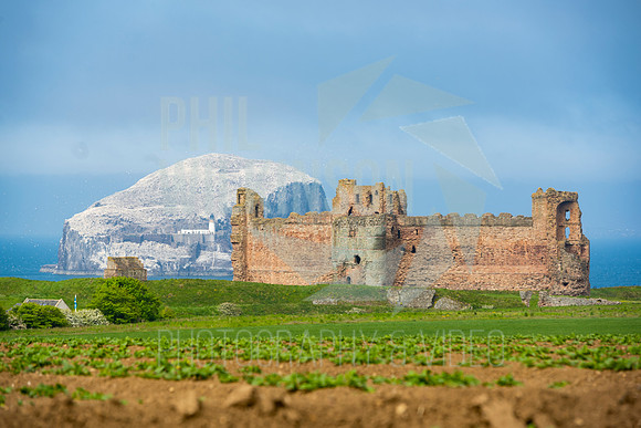 Tantallon Castle, Bass Rock, UK , Scotland ,