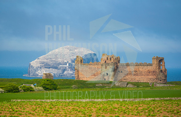 Tantallon Castle, Bass Rock, UK , Scotland ,