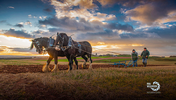 Scottish ploughing championships 2018