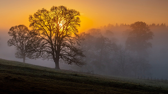 Misty sunset in the Scottish Borders.