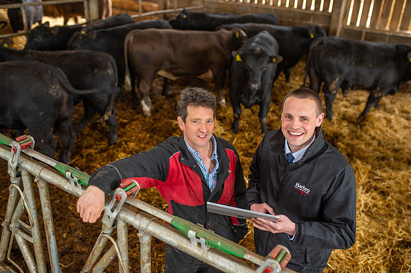 J&T Clark, Kerchesters Farm, Kelso TD5 8HR.