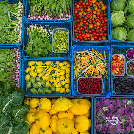 Chef Andrew Fairlie’s restaurant garden  near Gleneagles