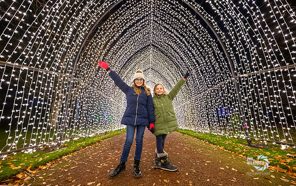 Christmas at the Botanics. 2020