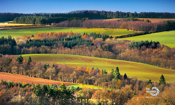 Autumnal colours in farming fields near Earlston, Scotland.